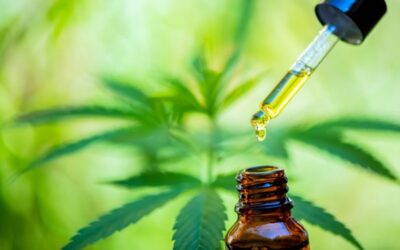 A kannabiszolaj elfogadottsága Magyarországon
